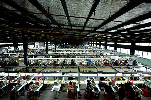 妇女们在湖北省宣恩县莲花坝工业园一电子产品生产车间里生产电子元件